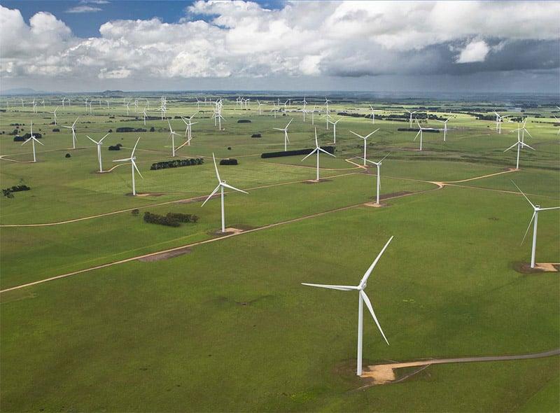 Spotlight on wind farm projects